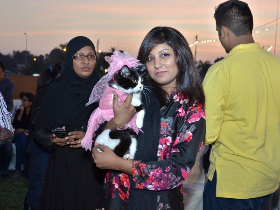 meo-wonder-cat-show-2015 (63)