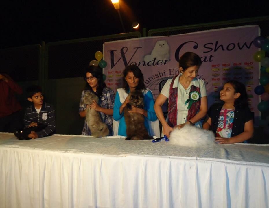 wonder-cat-show-2012 (17)